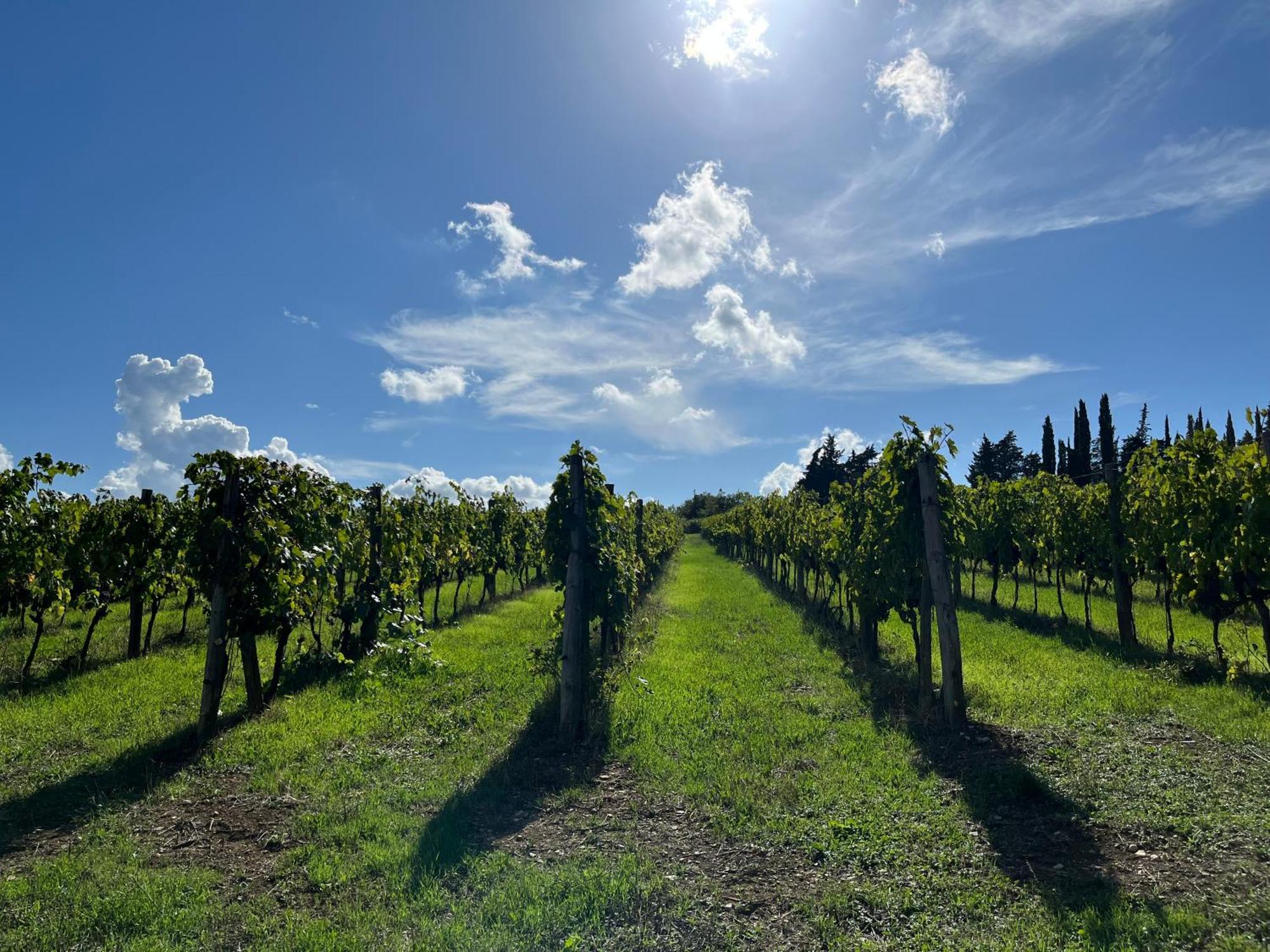Il Villino Farmhouse Castellina in Chianti Exterior photo